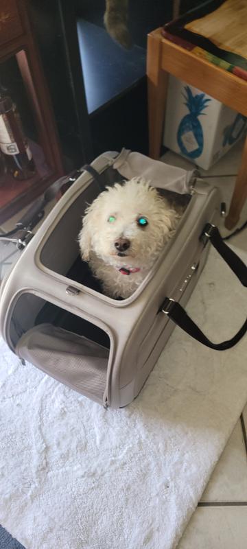 Dolly fits inside easily!