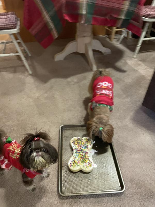 Finnegan shared the birthday cake with his sister Zoey.