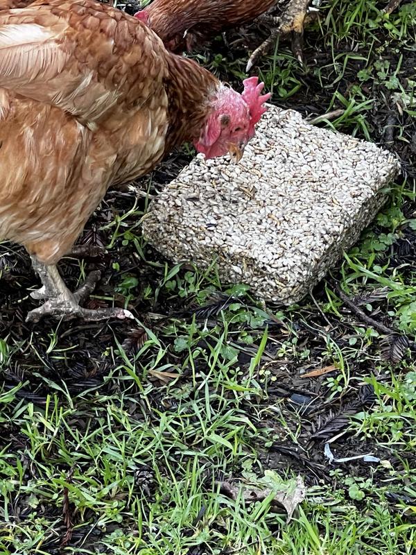 "What is this? I am curious."