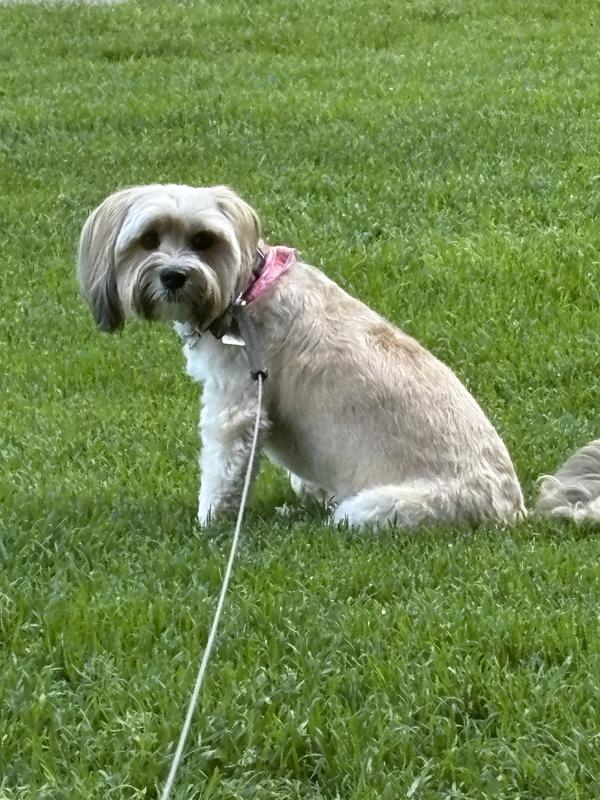 Full belly and content