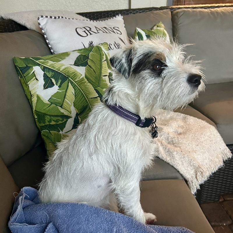 My picky eater LOVES Caledon Farms freeze-dried anything!