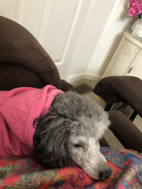 Chilling with Sparkle‼️💖