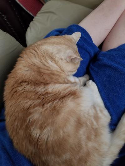Its ALWAYS lap time for Chedr