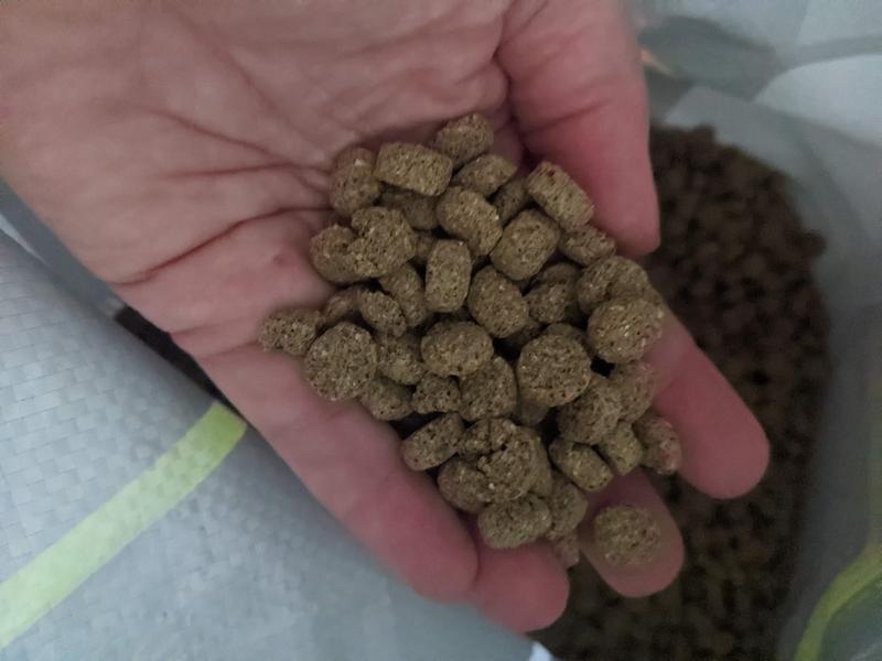 High nutrient pre digested ingredients