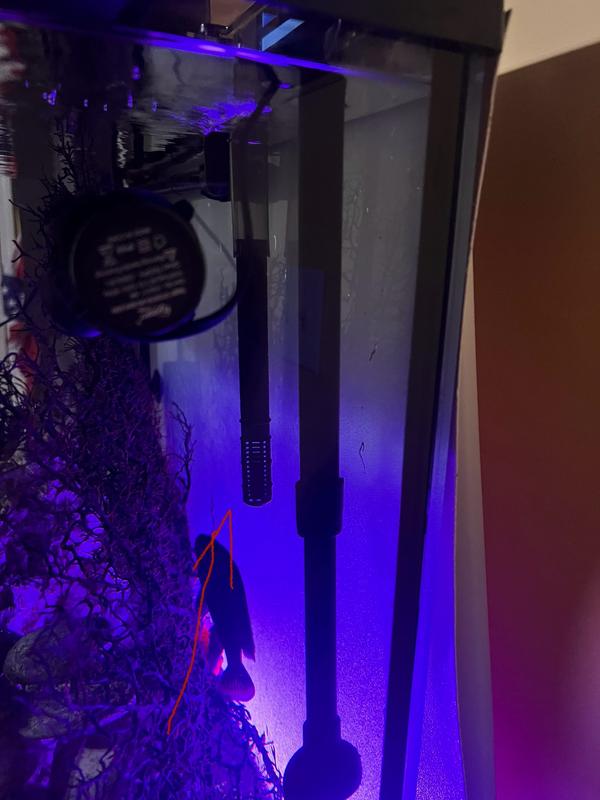 Here you can see how short it is compared to my canister filter intake.