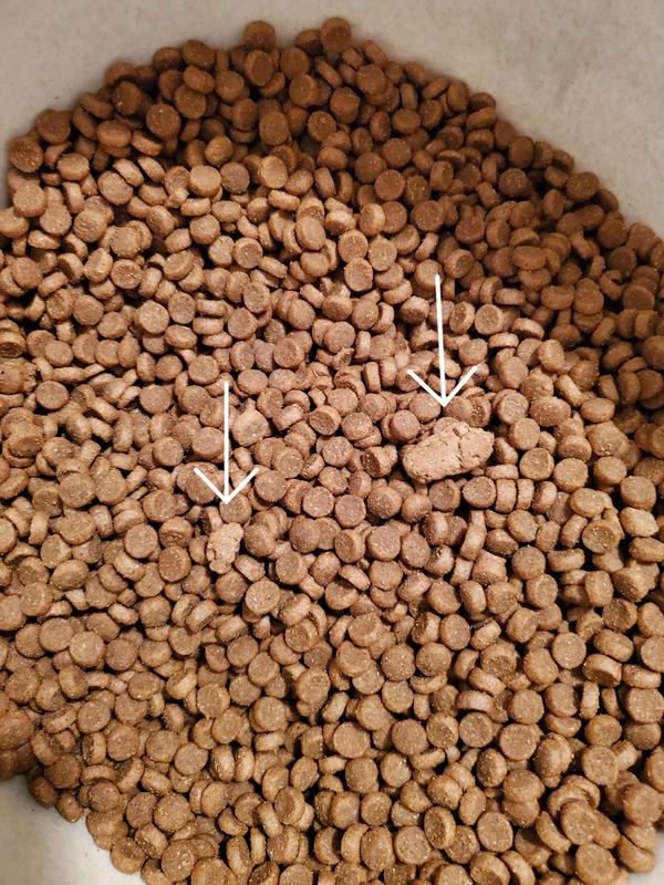 Acana small shop breed kibble size