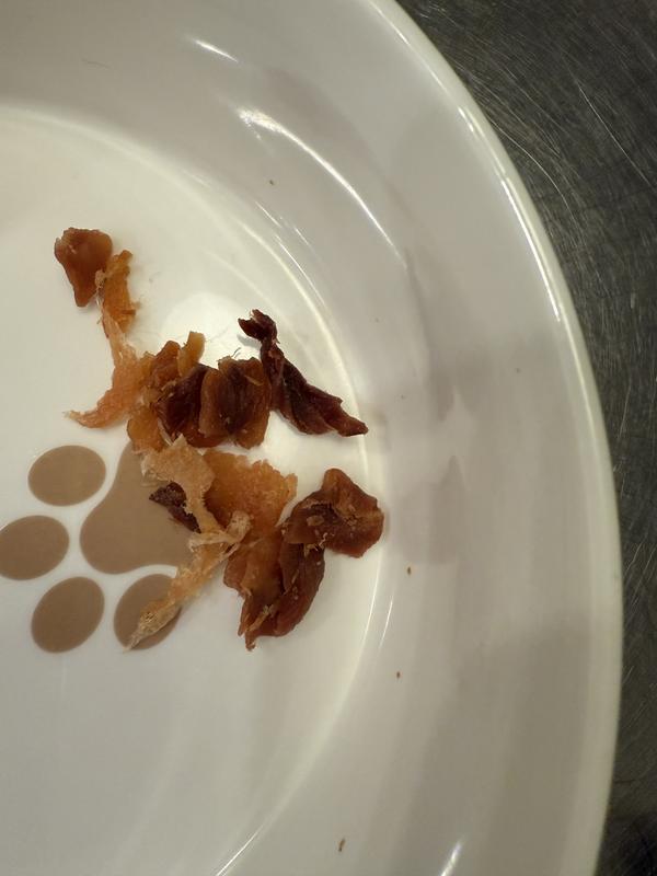 In bowl with no other food so you can see texture