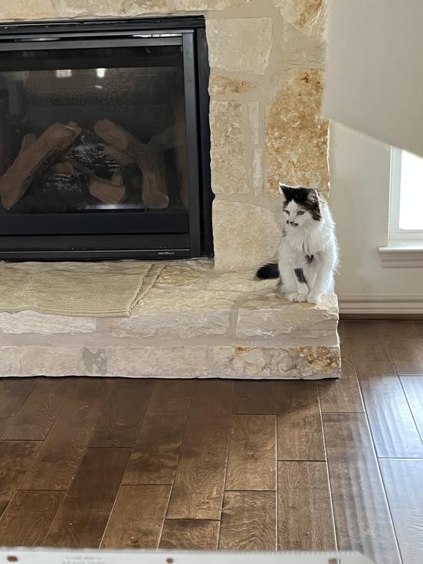 Patches, 19 years old.