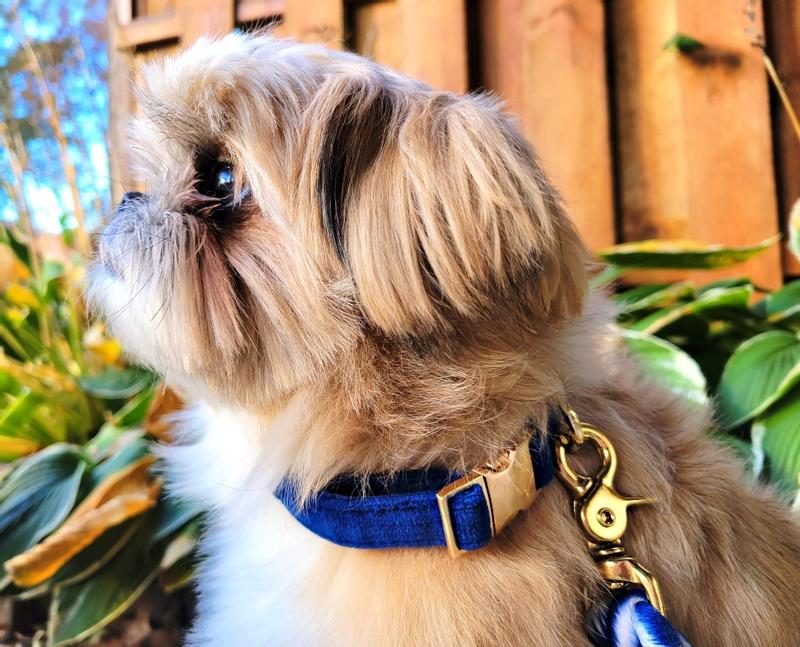 Soft and light with solid finishes.