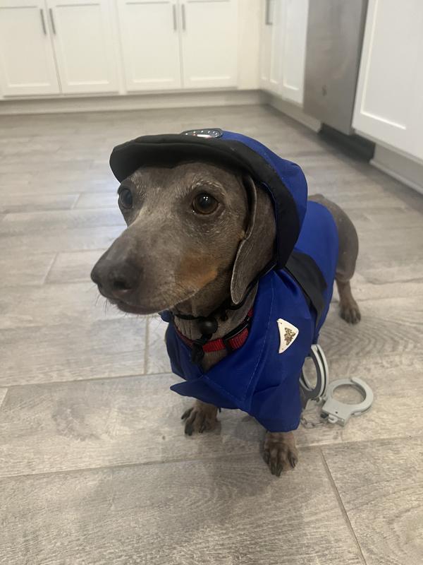 Cute police officer costume