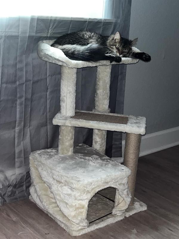 Topa, Feeling much more relaxed with her new supplements!