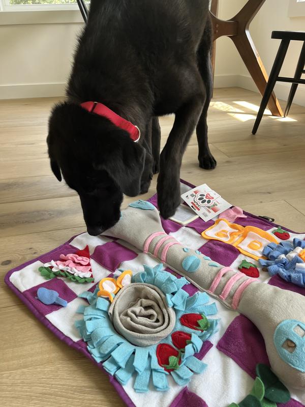 Finley can't get enough!