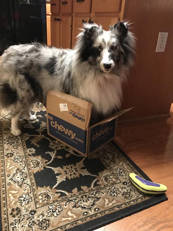 Next time get a bigger box!