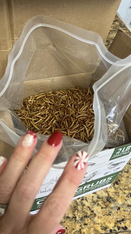 Lots & Lots for the price!