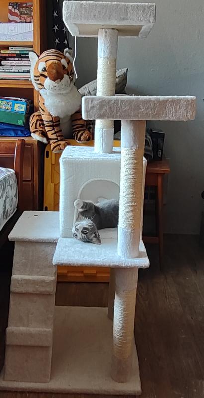 Viktor loves his new kitty tree!