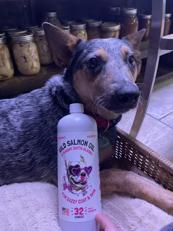 BRAVO! Wild Alaskan Salmon Oil Dog & Cat Supplement, 1-gal bottle 