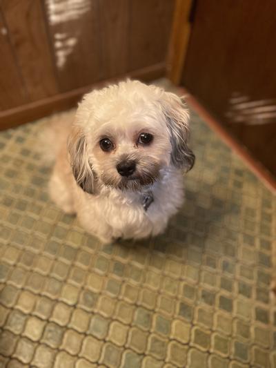 Happy little man!