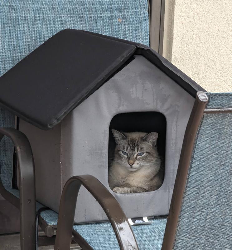 Chewy outdoor cat on sale houses