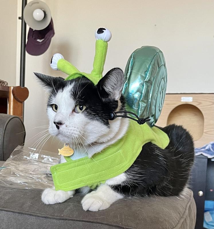 Funny Dog Costume, Snail Halloween Costume for Pets, Cat Costume