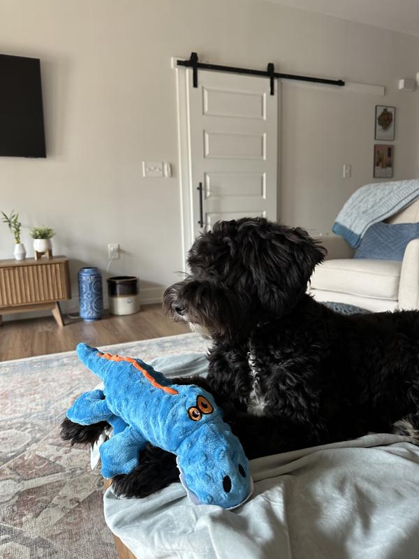 goDog Gators Squeaky Plush Dog Toy: $8, 'Almost Indestructible