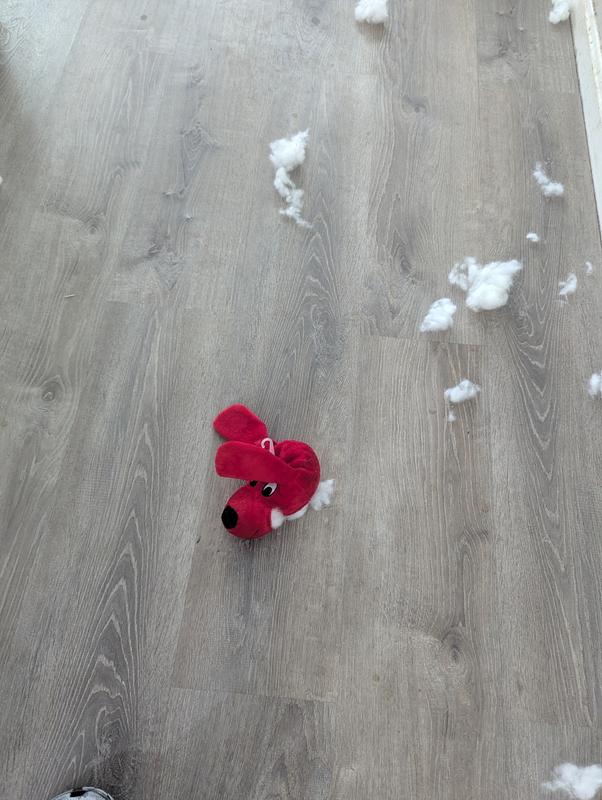 A sad day for Clifford