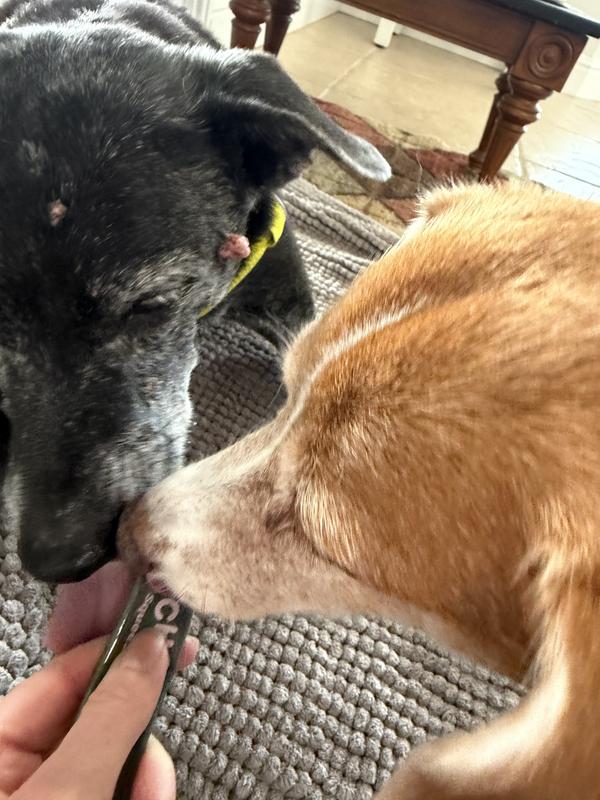 Sisters willing to share!