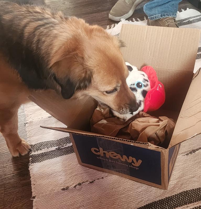 Inspecting the package