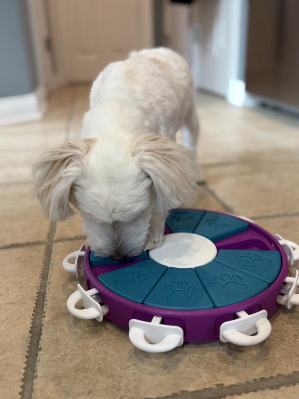 He loves these in his puzzle