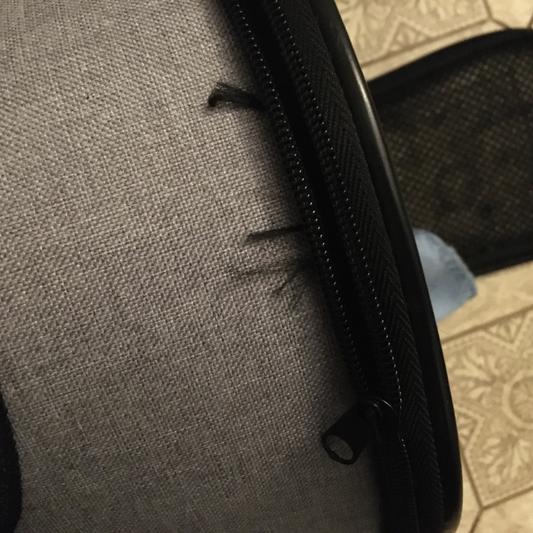 JESPET SoftSided Sport Dog & Cat Carrier Bag, Dark Blue, 16in