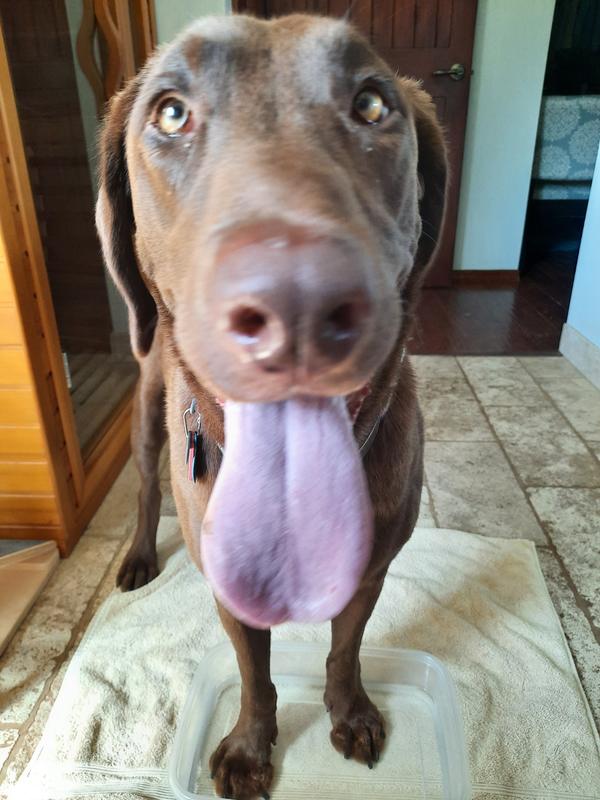 Happy mouth equals happy puppy (and mom)