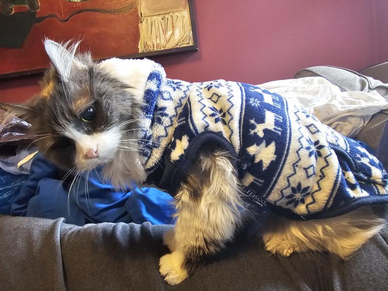 Frisco Fair Isle Fleece Lined Dog & Cat Hoodie
