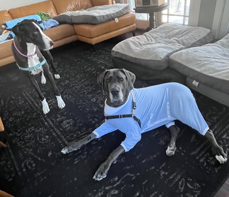 Her sister gives her a jealous look, she wants jammies too!