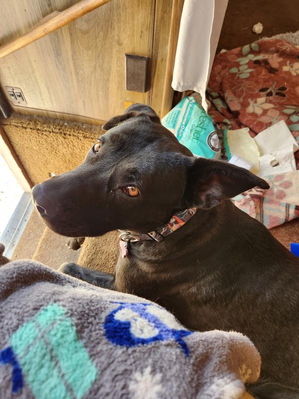 Bear is out here stunning in her new clothes!