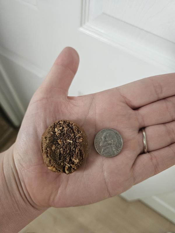 Size compared to a nickel
