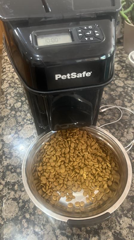 PetSafe Automatic Feeder vs. Manual Feeding
