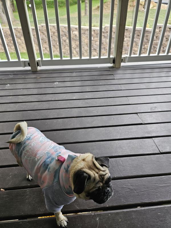 Warm sweatshirt for fall