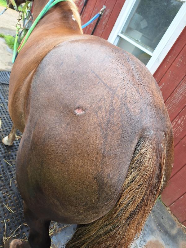 Before Derma Spray and After Derma Spray (results in less than a month's time!)