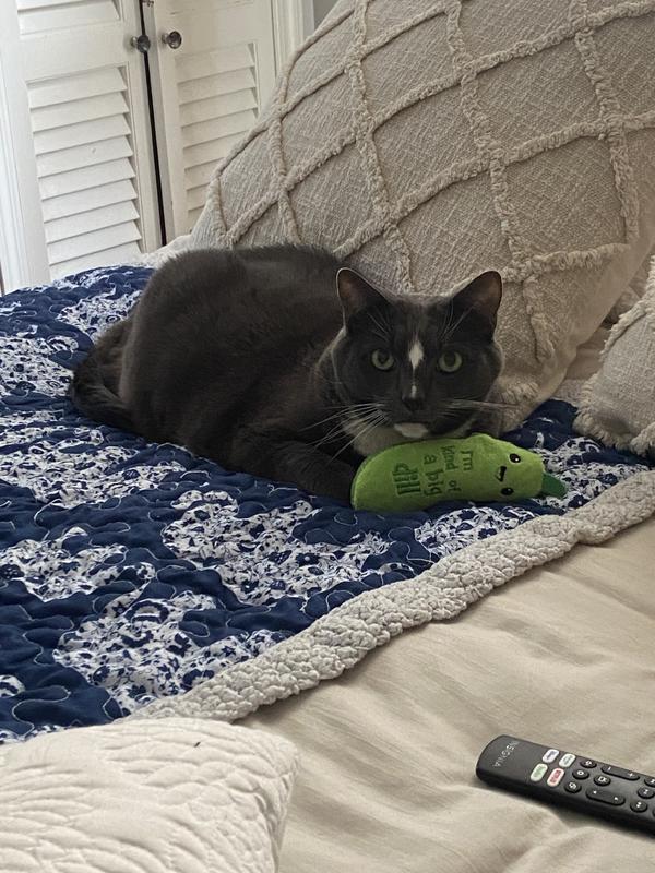 Just a boy and his pickle.