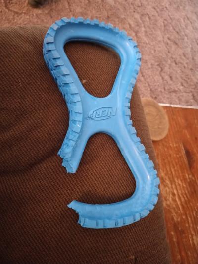 Nerf Dog Nylon Infinity Tug Dog Toy, 13-in