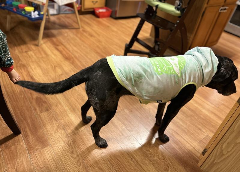 You can see the length is perfect on his body type.