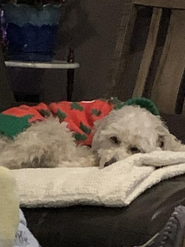 Maggie’s Chilling out