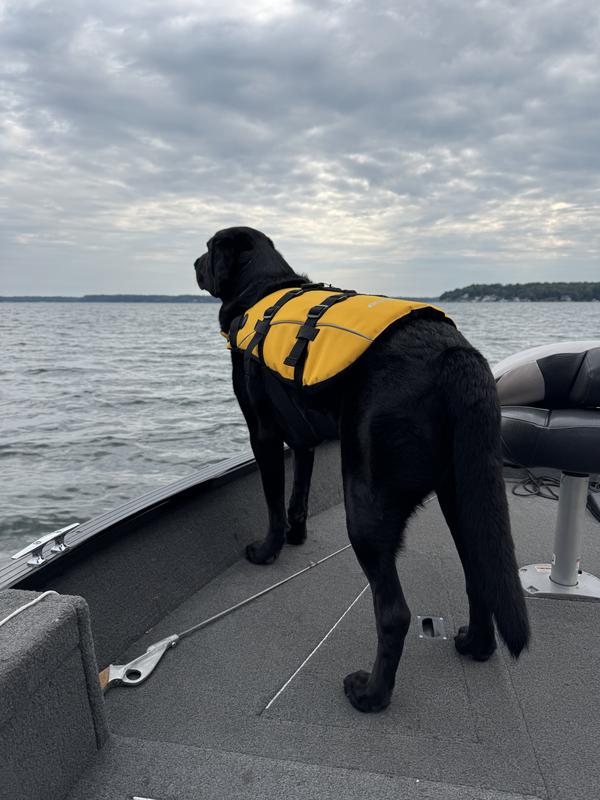 Chase on Lake Ontario
