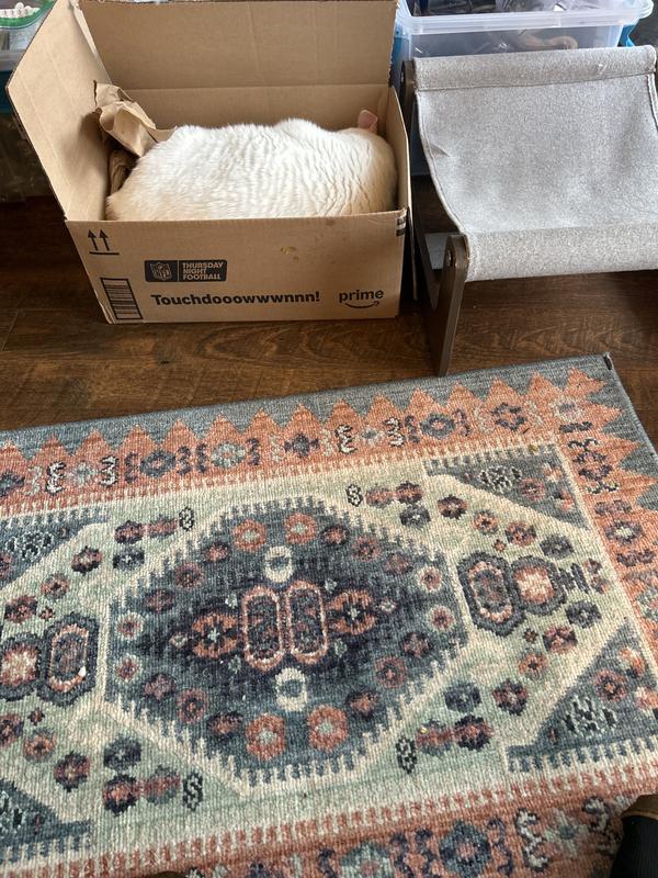 Cat in box on left product on right