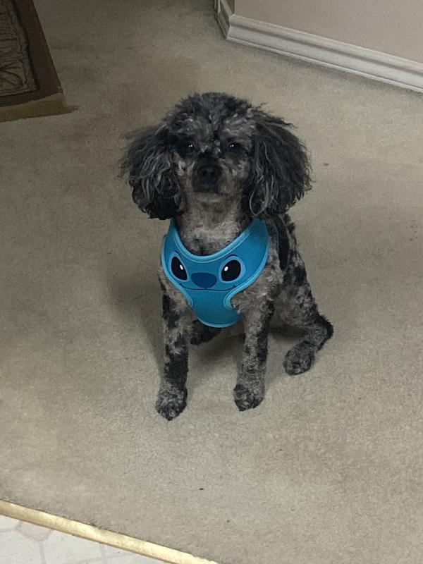 Fits just fine- easy on and off