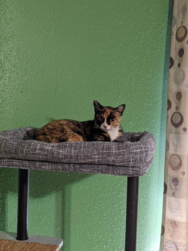 You can see it  in the bottom left corner - but thank you for this product that helped me make my cat feel safe to get to the top of her tree.