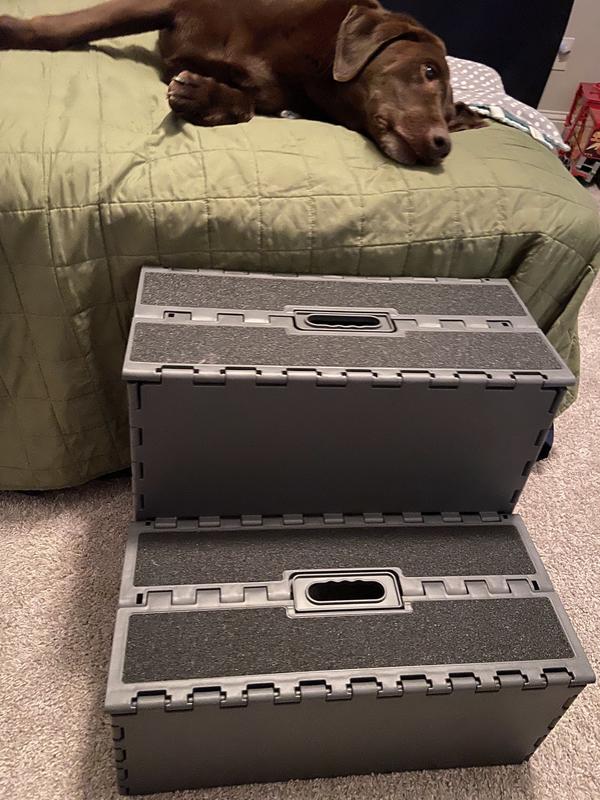 'Frisco Foldable Dog Stairs, Gray