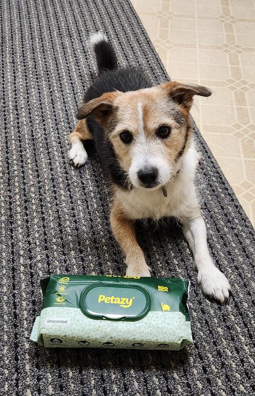 Taz and his Petazy wipes.