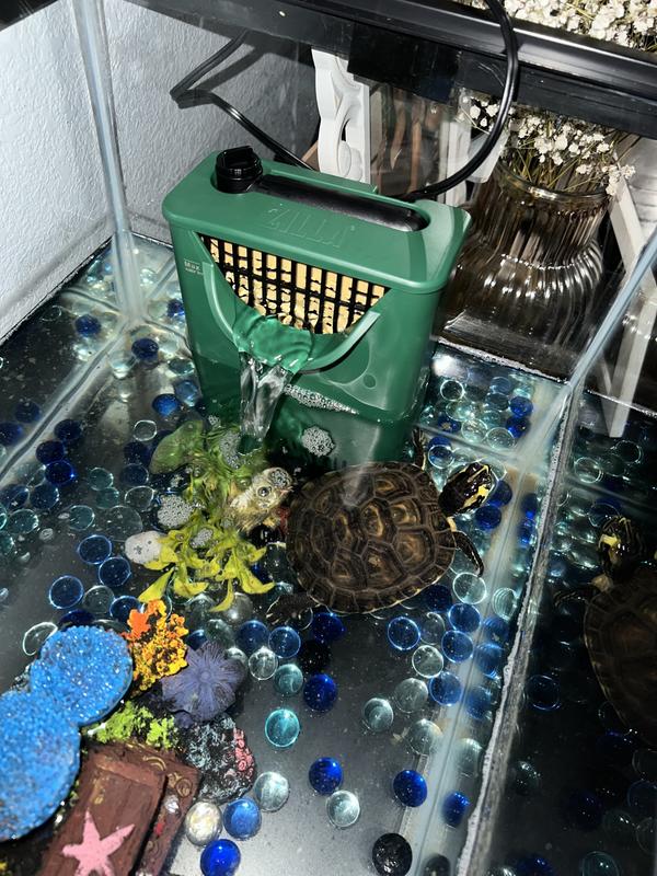 Flow of water at the higher end.