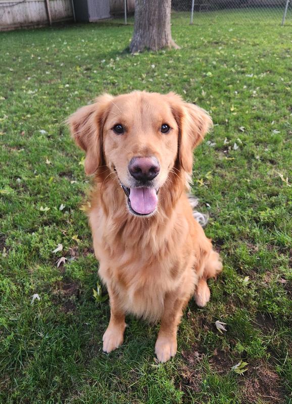 Bingo is smiling again!