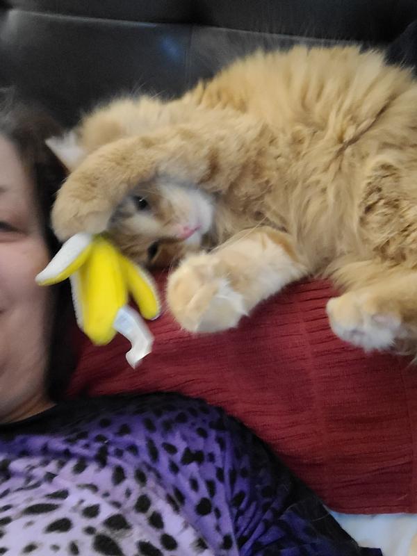 KONG Better Buzz Banana Cat Toy